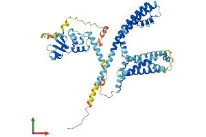 AlphaFold protein structure predicition of Mouse Recombinant Kcng1 Protein, UniprotID A2BDX4