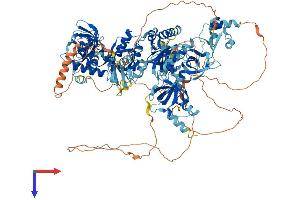AlphaFold protein structure predicition of Human Recombinant TDRD7 Protein, UniprotID Q8NHU6