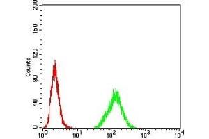 Flow cytometric analysis of Hela cells using HDAC2 mouse mAb (green) and negative control (red). (HDAC2 anticorps  (AA 217-327))