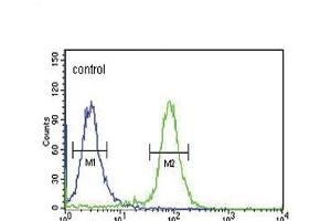 GP6 Antibody (C-term) (ABIN651878 and ABIN2840435) flow cytometric analysis of K562 cells (right histogram) compared to a negative control cell (left histogram). (GP6 anticorps  (C-Term))