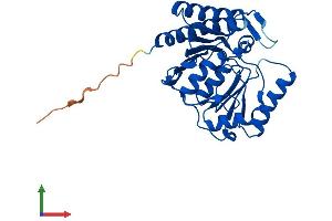AlphaFold protein structure predicition of Mouse Recombinant Impa2 Protein, UniprotID Q91UZ5