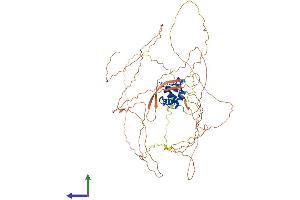 AlphaFold protein structure predicition of Mouse Recombinant Elf1 Protein, UniprotID Q60775