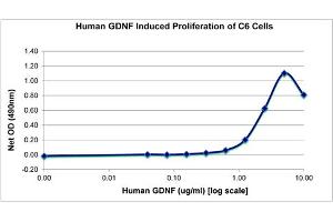 SDS-PAGE of Human Glial Derived Neurotrophic Factor Recombinant Protein Bioactivity of Human Glial Derived Neurotrophic Factor Recombinant Protein. (GDNF Protéine)