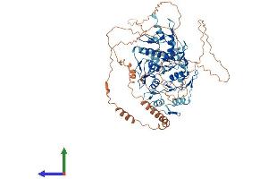 AlphaFold protein structure predicition of Human Recombinant ZNF782 Protein, UniprotID Q6ZMW2