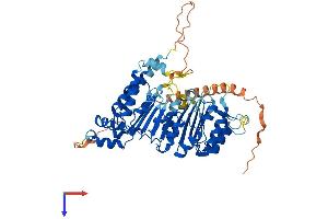 AlphaFold protein structure predicition of Mouse Recombinant Fbxo33 Protein, UniprotID Q8VE08