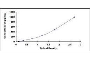 Nodal Homolog (NODAL) ELISA Kit