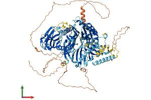 AlphaFold protein structure predicition of Human Recombinant C2CD5 Protein, UniprotID Q86YS7 (C2CD5/KIAA0528 Protein (AA 1-1000) (His tag))