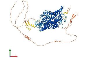 AlphaFold protein structure predicition of Human Recombinant SLC6A5 Protein, UniprotID Q9Y345