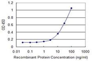 Detection limit for recombinant GST tagged THAP11 is 1 ng/ml as a capture antibody. (THAP11 anticorps  (AA 1-85))