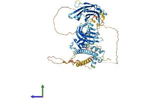 AlphaFold protein structure predicition of Mouse Recombinant Sytl3 Protein, UniprotID Q99N48