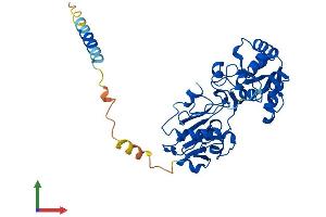 AlphaFold protein structure predicition of Human Recombinant FUT9 Protein, UniprotID Q9Y231