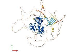 AlphaFold protein structure predicition of Mouse Recombinant Epb41 Protein, UniprotID P48193