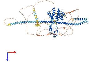 AlphaFold protein structure predicition of Mouse Recombinant Hgs Protein, UniprotID Q99LI8