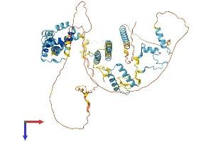 AlphaFold protein structure predicition of Human Recombinant SUGP1 Protein, UniprotID Q8IWZ8