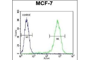 LYSMD4 Antibody (N-term) (ABIN654381 and ABIN2844130) flow cytometric analysis of MCF-7 cells (right histogram) compared to a negative control cell (left histogram).