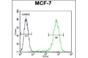 LYSMD4 Antibody (N-term) (ABIN654381 and ABIN2844130) flow cytometric analysis of MCF-7 cells (right histogram) compared to a negative control cell (left histogram). (LYSMD4 anticorps  (N-Term))