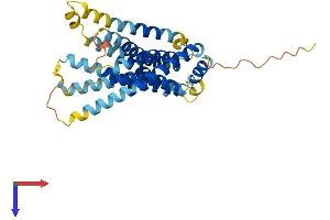 AlphaFold protein structure predicition of Human Recombinant GPR146 Protein, UniprotID Q96CH1