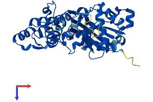 AlphaFold protein structure predicition of Mouse Recombinant Actbl2 Protein, UniprotID Q8BFZ3