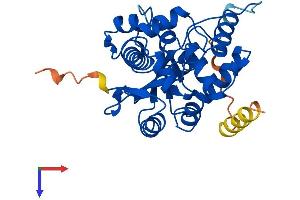 AlphaFold protein structure predicition of Mouse Recombinant Cnot8 Protein, UniprotID Q9D8X5