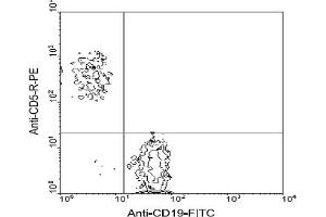 Flow Cytometry (FACS) image for anti-CD5 (CD5) antibody (PE) (ABIN356204) (CD5 anticorps  (PE))