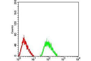 anti-Glutamate Receptor, Ionotropic, N-Methyl D-Aspartate 3B (GRIN3B) (AA 135-276) antibody