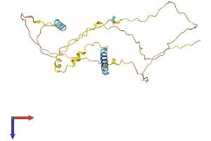 AlphaFold protein structure predicition of Human Recombinant LIME1 Protein, UniprotID Q9H400