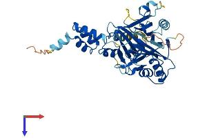 AlphaFold protein structure predicition of Mouse Recombinant Fbxo22 Protein, UniprotID Q78JE5