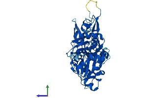 AlphaFold protein structure predicition of Mouse Recombinant Actrt2 Protein, UniprotID Q9D9L5
