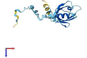 AlphaFold protein structure predicition of Mouse Recombinant Pdzd11 Protein, UniprotID Q9CZG9