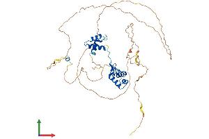 AlphaFold protein structure predicition of Human Recombinant PAX8 Protein, UniprotID Q06710