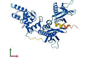 AlphaFold protein structure predicition of Human Recombinant ADAP2 Protein, UniprotID Q9NPF8