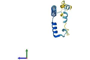 AlphaFold protein structure predicition of Mouse Recombinant Lin52 Protein, UniprotID Q8CD94