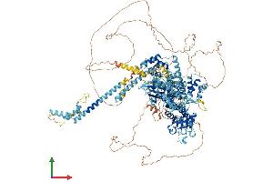 AlphaFold protein structure predicition of Mouse Recombinant Efcab5 Protein, UniprotID A0JP43