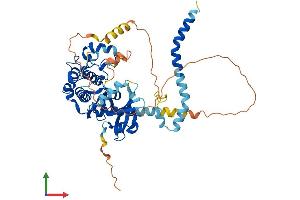 AlphaFold protein structure predicition of Mouse Recombinant Stk4 Protein, UniprotID Q9JI11
