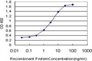 Detection limit for recombinant GST tagged RASGRP4 is approximately 0. (RASGRP4 anticorps  (AA 574-673))