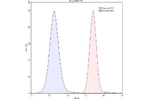 Detection of CD147 in Hela human cervix adenocarcinoma cell line using Polyclonal Antibody to Cluster Of Differentiation 147 (CD147)