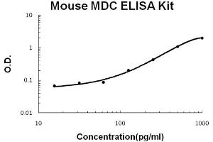 Mouse MDC Accusignal ELISA Kit Mouse MDC AccuSignal ELISA Kit standard curve.