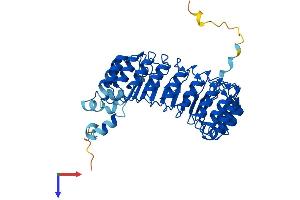 AlphaFold protein structure predicition of Human Recombinant FBXL2 Protein, UniprotID Q9UKC9