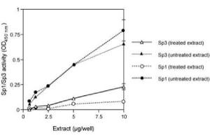 Activity Assay (AcA) image for MCF-7 nuclear extract (ABIN2669754) (MCF-7 nuclear extract)
