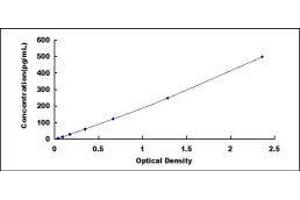 ELISA image for Natriuretic Peptide A (NPPA) ELISA Kit (ABIN415547)