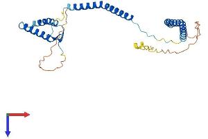AlphaFold protein structure predicition of Human Recombinant NSL1 Protein, UniprotID Q96IY1