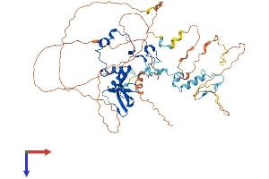 AlphaFold protein structure predicition of Human Recombinant CNOT2 Protein, UniprotID Q9NZN8