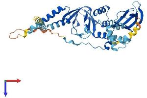 AlphaFold protein structure predicition of Mouse Recombinant Prkar1a Protein, UniprotID Q9DBC7