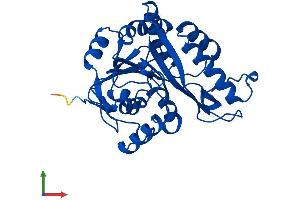 AlphaFold protein structure predicition of Mouse Recombinant Memo1 Protein, UniprotID Q91VH6