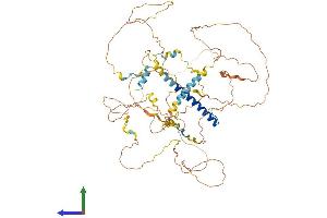 AlphaFold protein structure predicition of Mouse Recombinant Crtc1 Protein, UniprotID Q68ED7