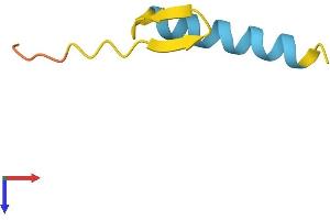 AlphaFold protein structure predicition of Human Recombinant RNF216P1 Protein, UniprotID Q6NUR6
