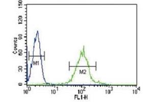 IRF8 antibody flow cytometric analysis of HL-60 cells (green) compared to a negative control (blue).