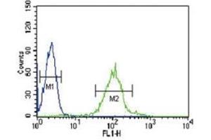 IRF8 antibody flow cytometric analysis of HL-60 cells (green) compared to a negative control (blue). (IRF8 anticorps  (AA 384-409))