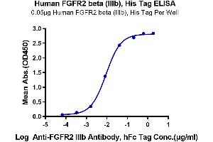 Immobilized Human FGFR2 beta (IIIb), His Tag at 0.