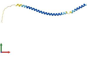 AlphaFold protein structure predicition of Mouse Recombinant Bet1 Protein, UniprotID O35623